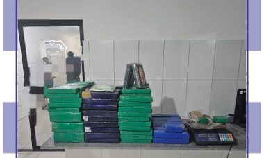 f856613f-d8c0-4053-b93c-0ca08d79561c